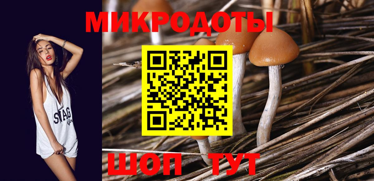 Дальнегорск  Псилоцибиновые грибы Magic Shrooms  Галлюциногенные грибы MAGIC MUSHROOMS  где купить наркоту  Вход с VPN 